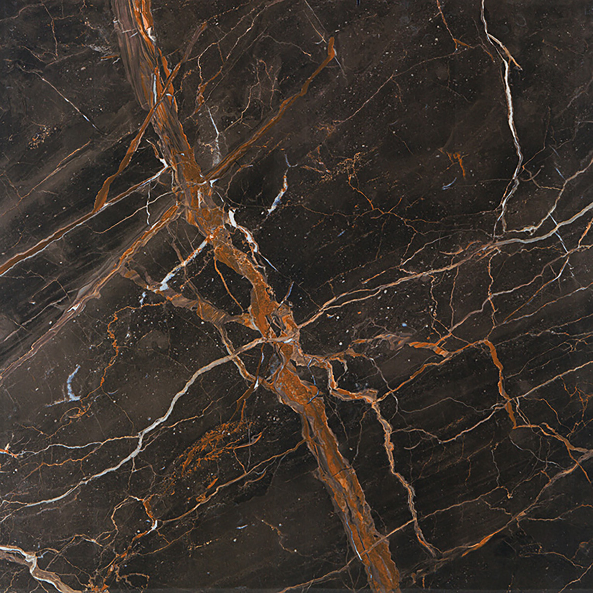 Bodenfliesen Pris. Vanity Brown Poliert 60x120 cm