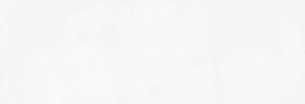 Wandfliesen G.Rlv.Obi Blanco Glasiert 40x120 cm