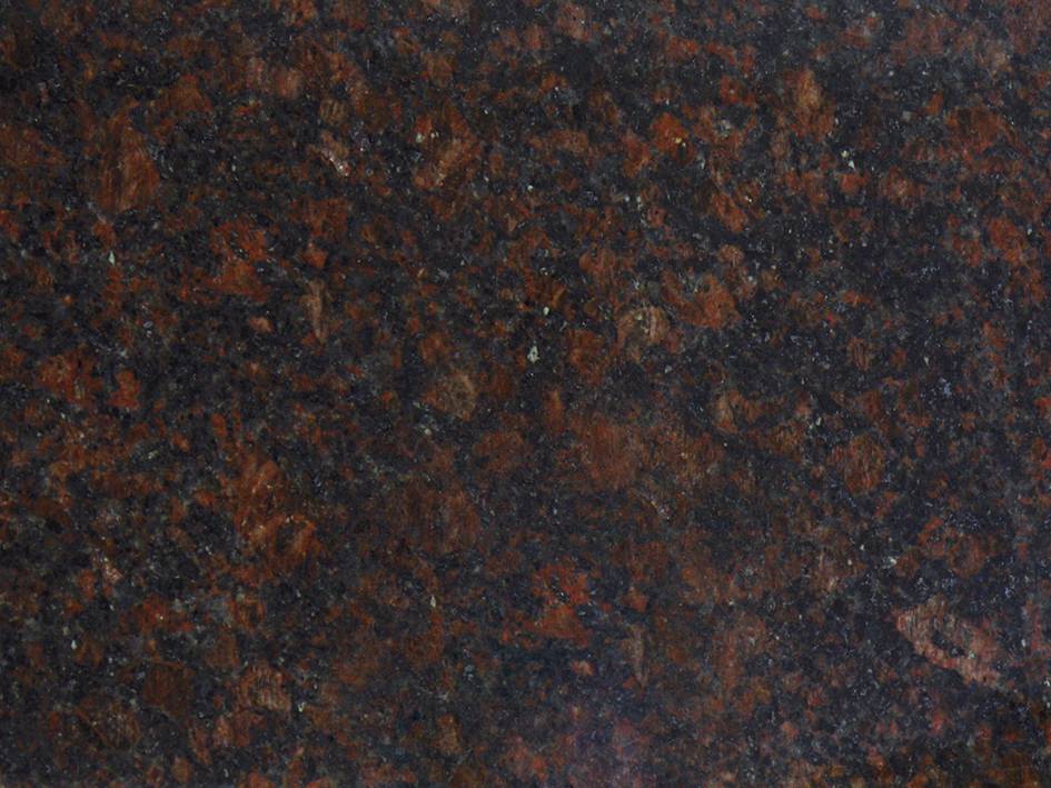 Tan Brown Granitfliesen Geschliffen Premium Qualität in 61x61x1,2 cm