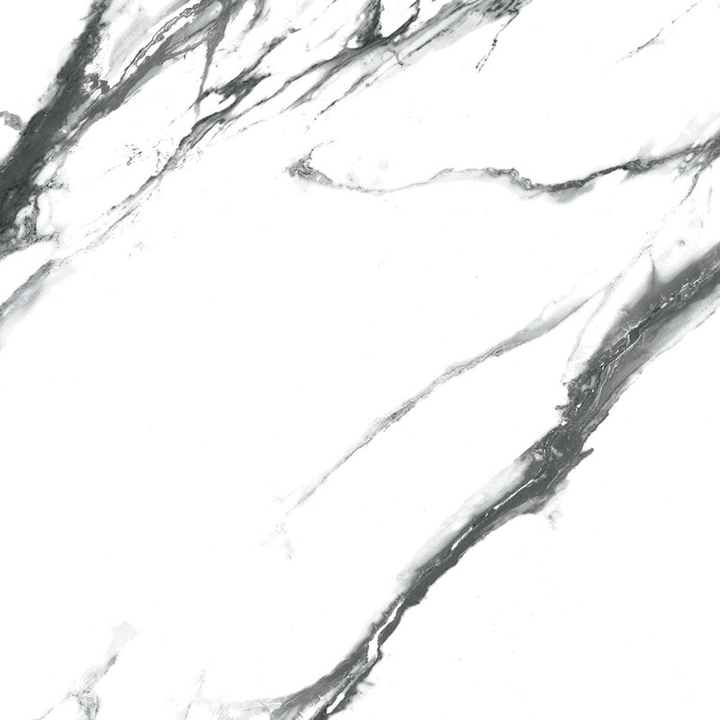 Bodenfliesen G.Oikos Black Poliert 120x120 cm